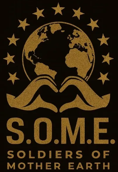Het originele S.O.M.E.-embleem op de conceptomslag van de roman